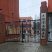 巢湖市私立老骥学校