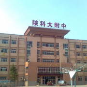 科技大学附属中学