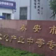 泰安市文化产业中等专业学校