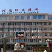 河北师范大学附属中学中加国际部